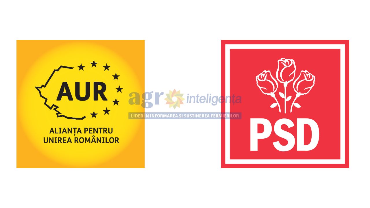 Alianță AUR - PSD pentru o moțiune de cenzură
