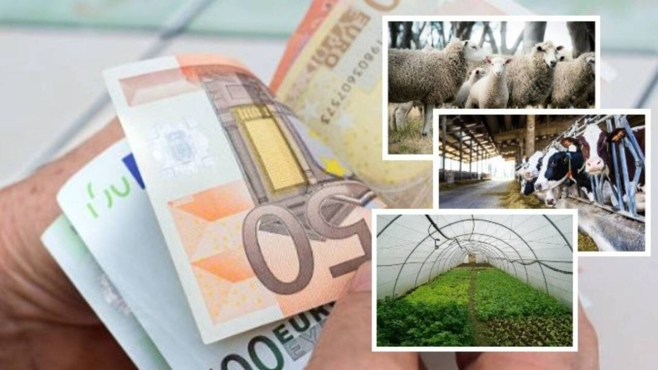 Plata ANT-urilor pentru fermieri