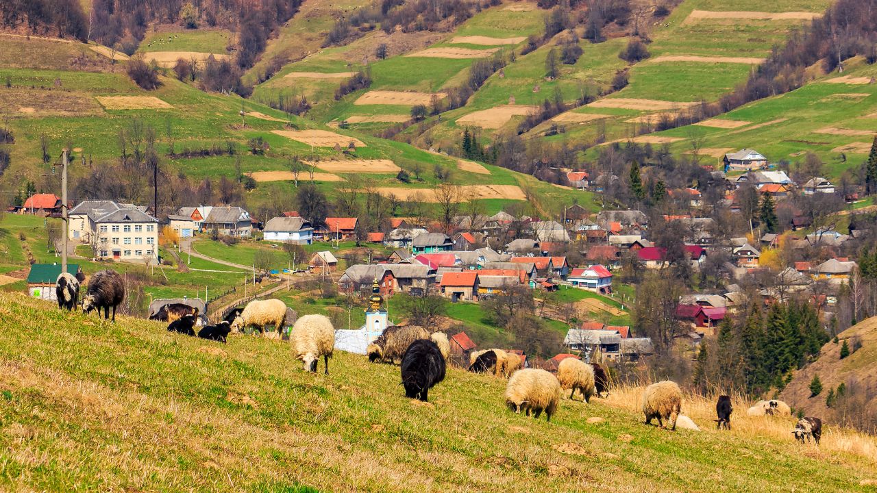 Românii cu datorii la ANAF, pe lista rușinii