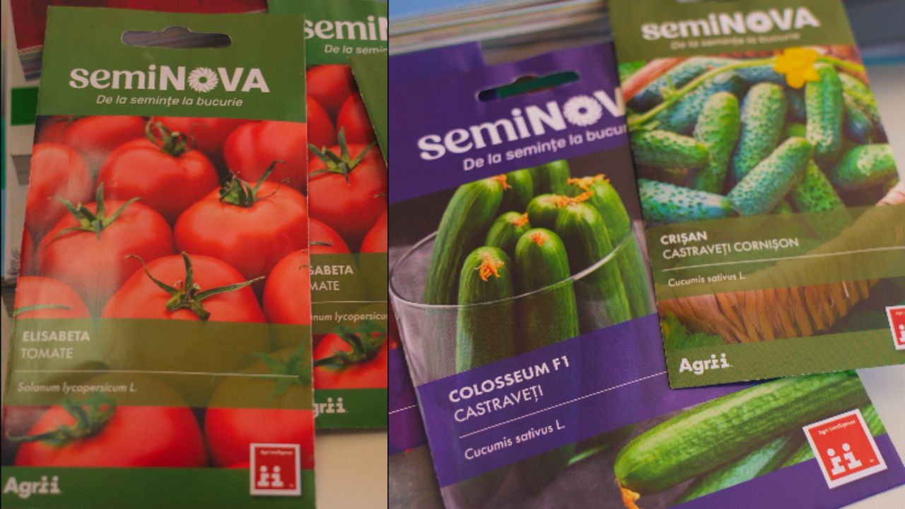 Semințe Seminova de la Agrii