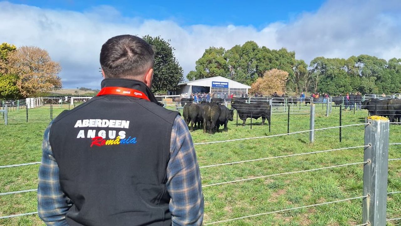Asociația Aberdeen Angus România