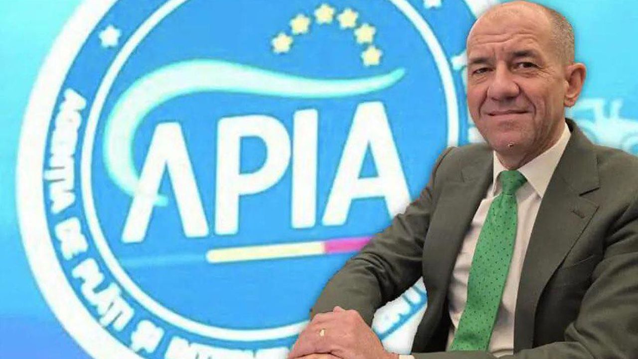 Adrian Pintea, APIA