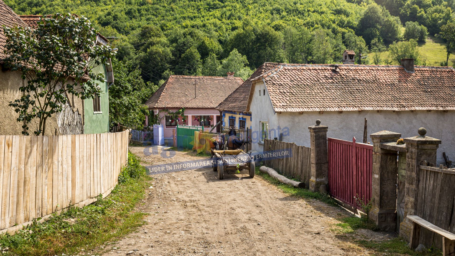 Controale DSVSA în gospodării