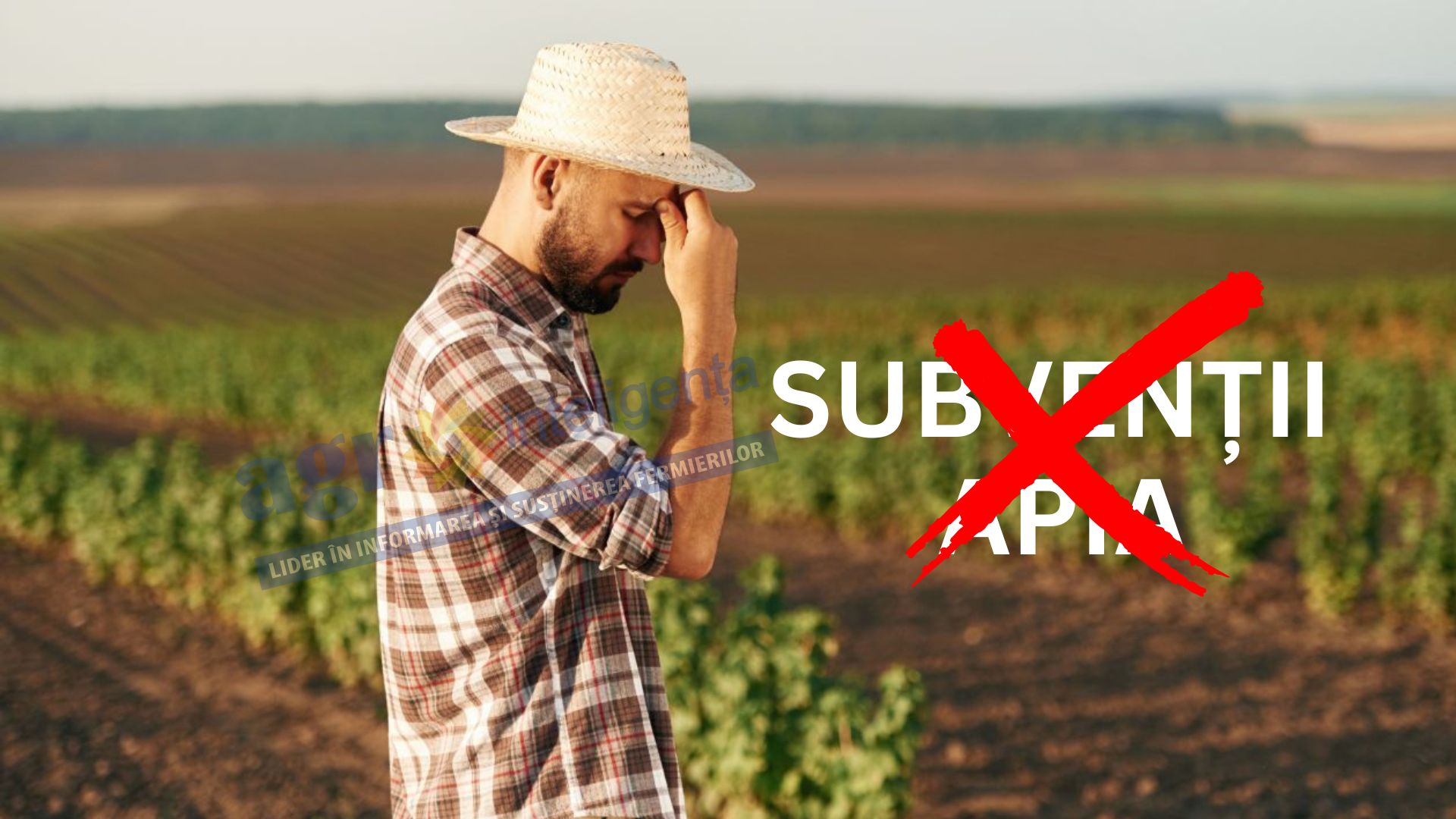 Fermierii riscă să piardă subvențiile APIA