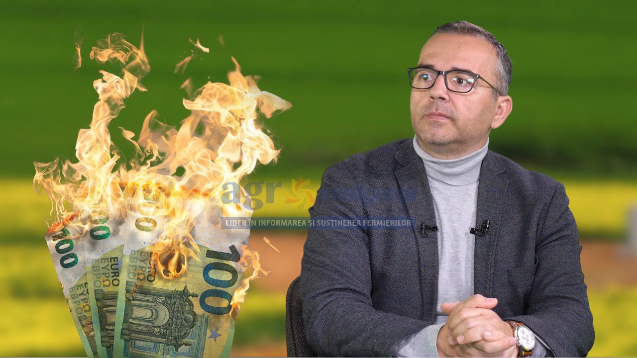 Florin Constantin, AGXecutive