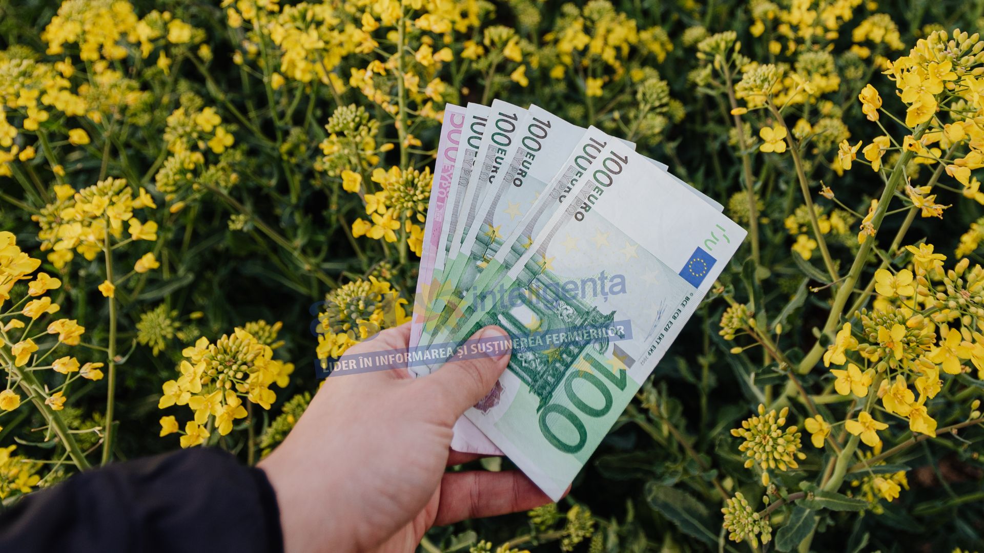Caz EPPO de fraudă cu bani europeni