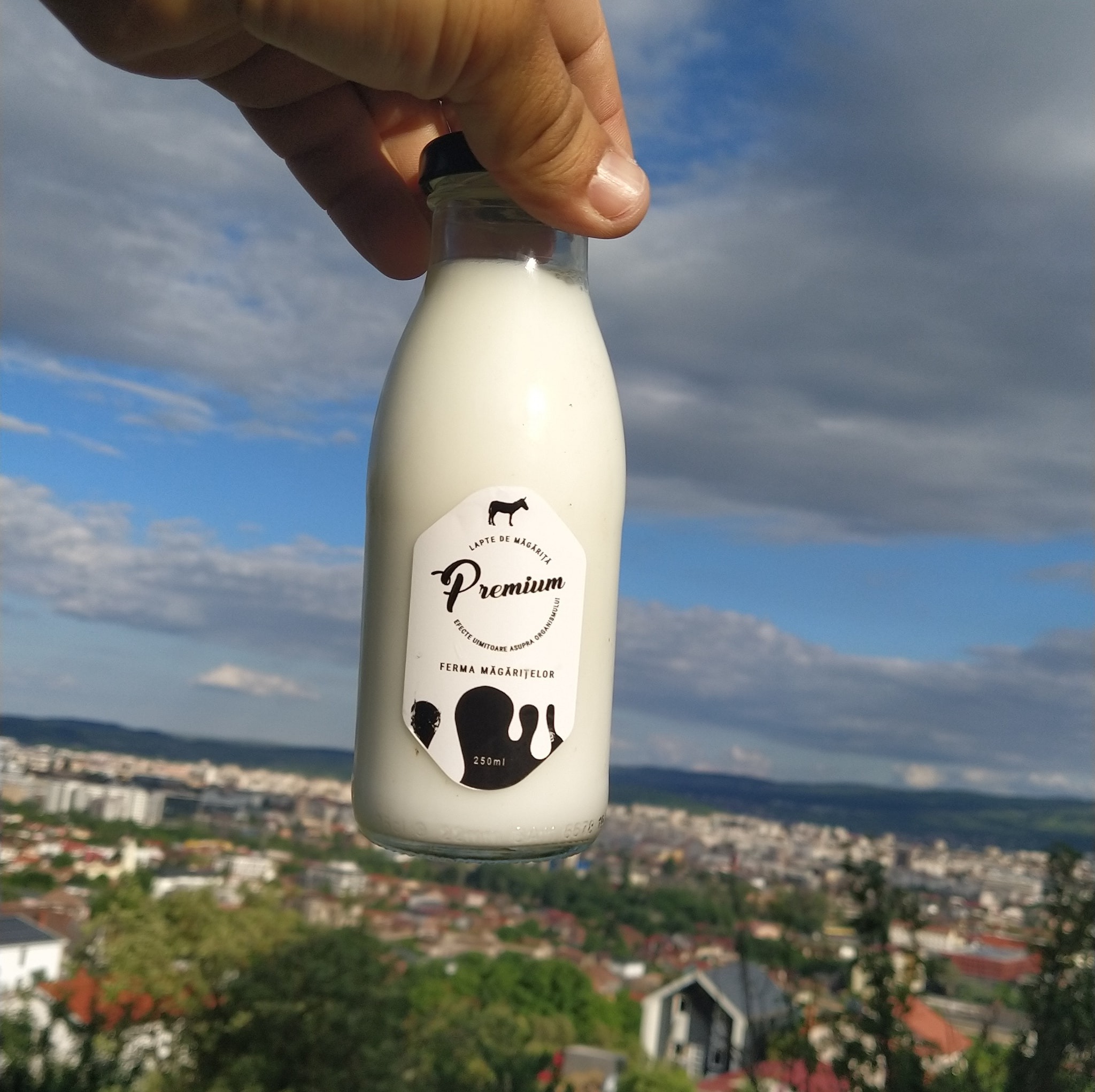 Lapte de măgăriță de la ferma fraților Cîmpan
