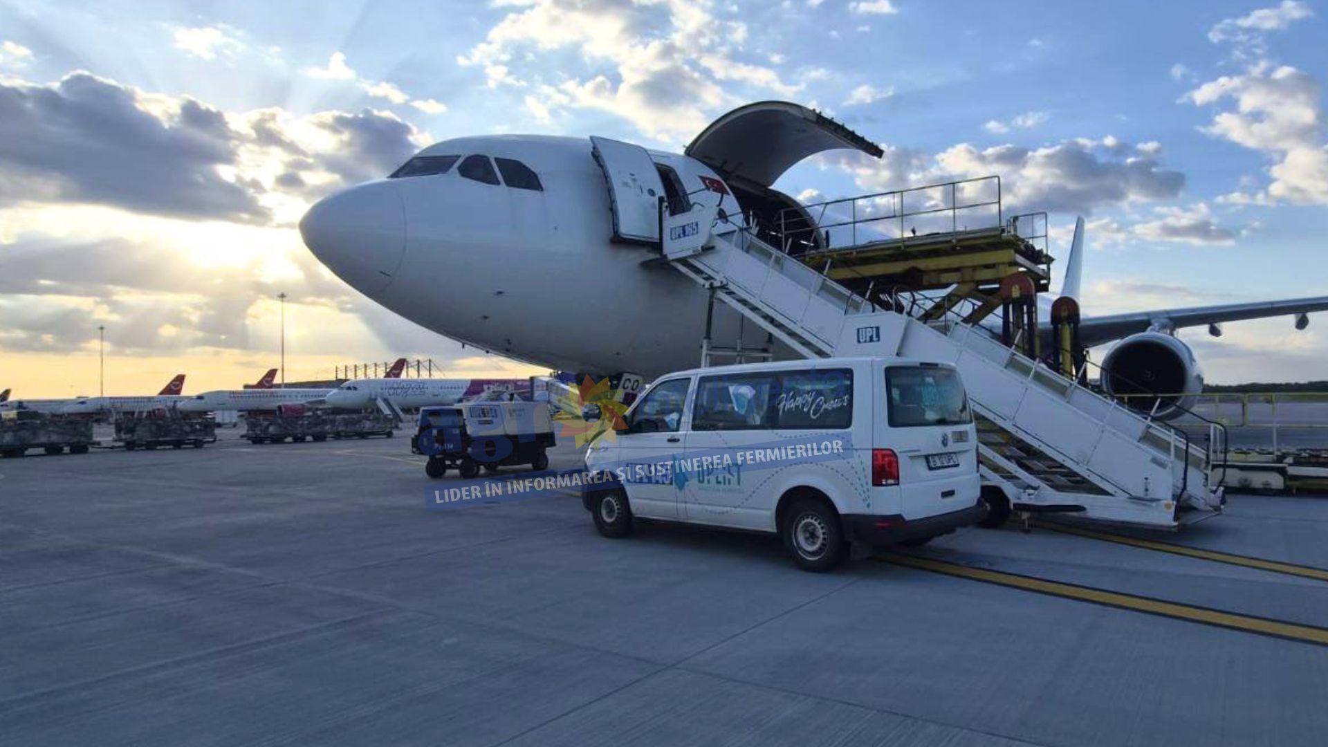 livrare-oi-cargo-algeria-ansvsa