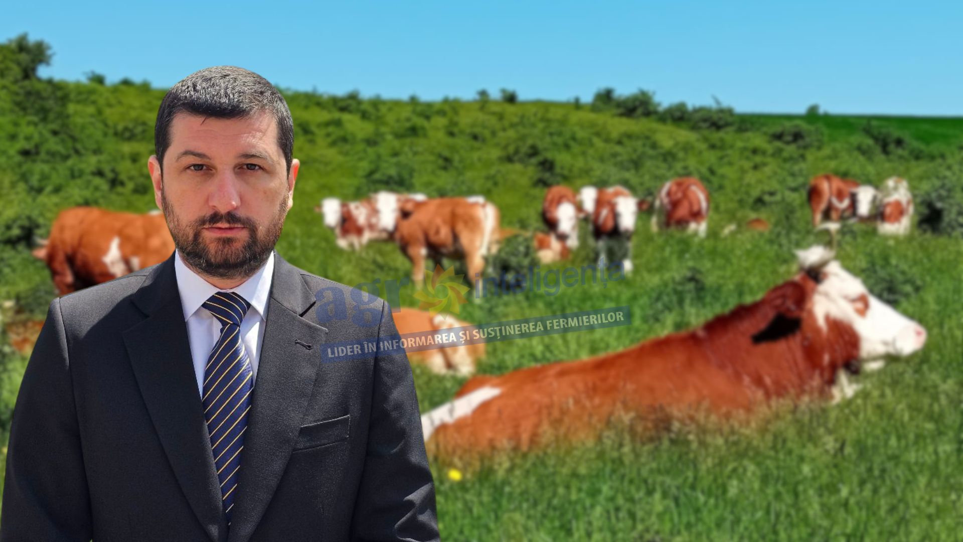 Marius Lulea a investit într-o fermă de vaci de lapte