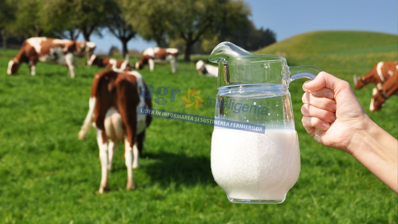 Plăți ANTZ pentru bovine