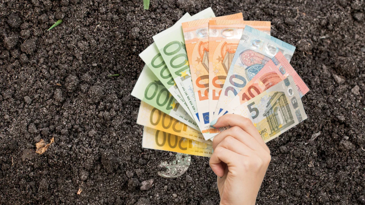 Plăți APIA pentru fermieri