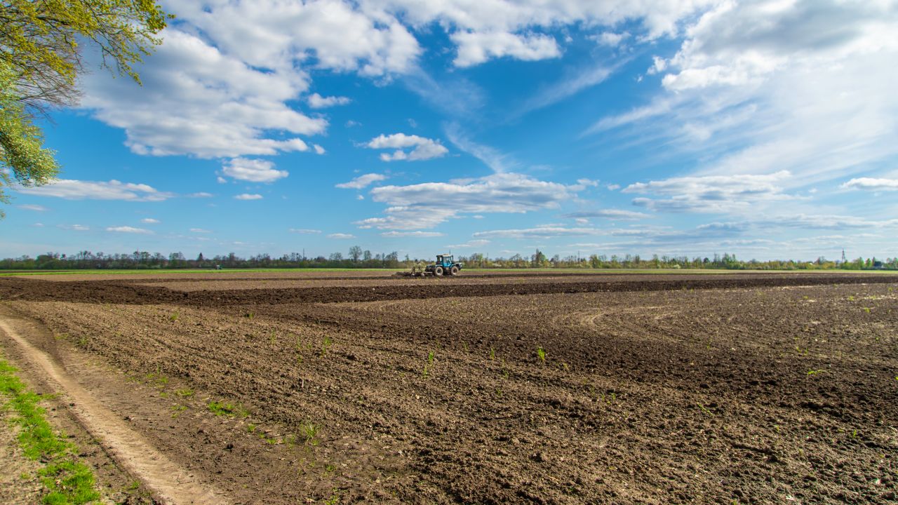 Teren agricol arendat de la ADS