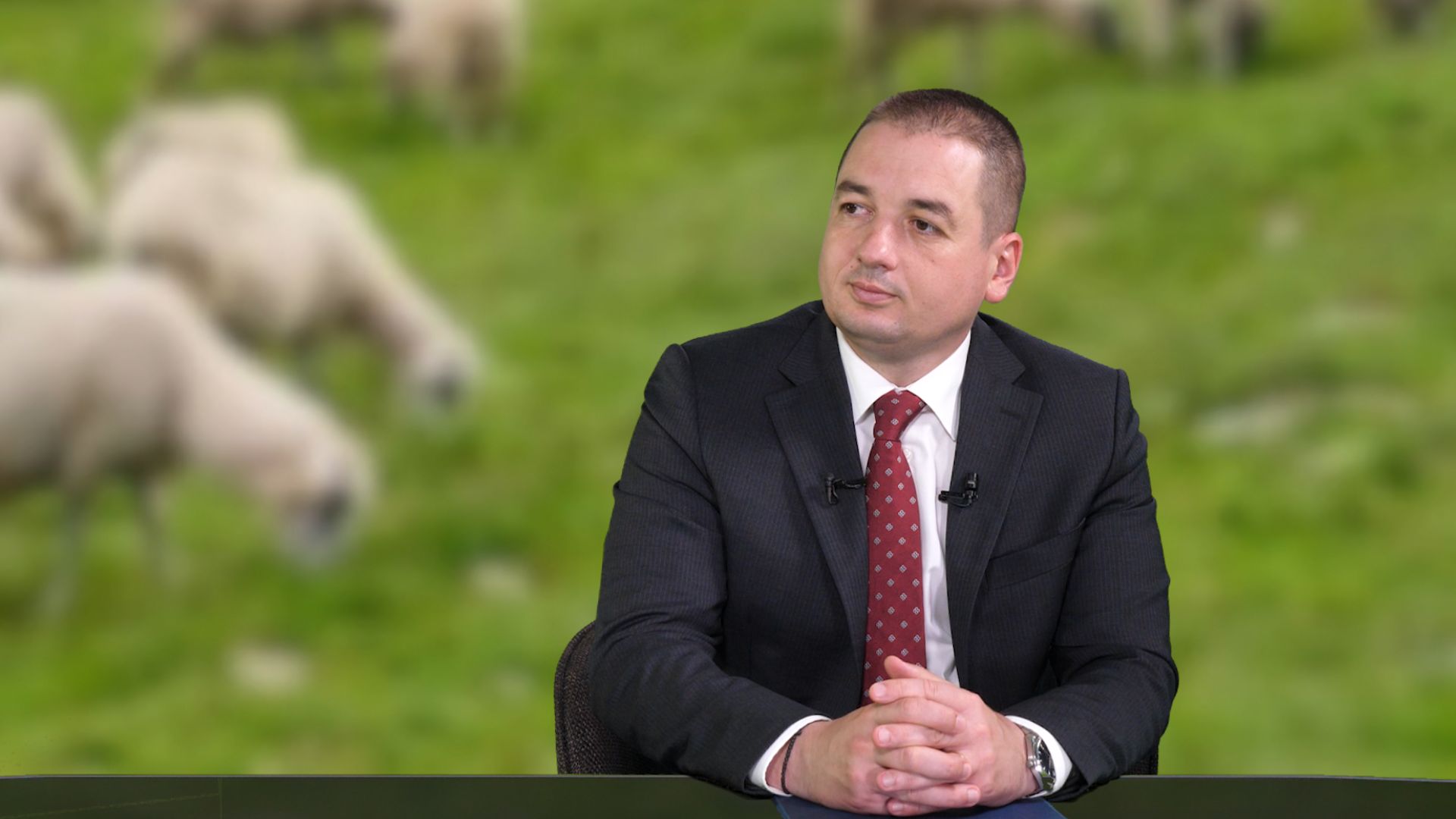 Alexandru Bociu, în emisiunea Agrostrategia