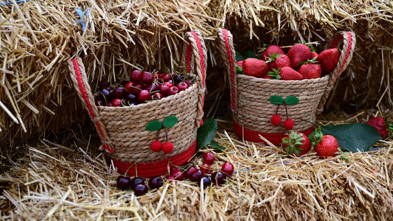 Festivalul Cireșelor și Căpșunilor