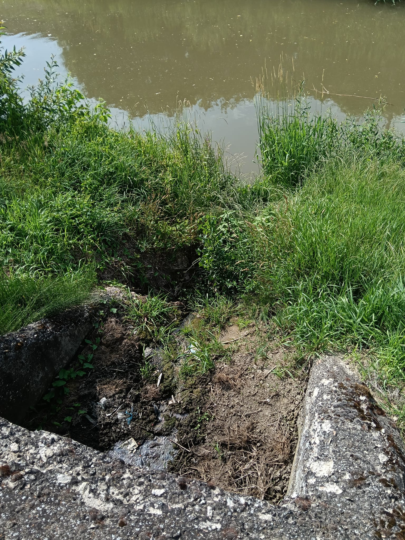 poluare locatie (4)
