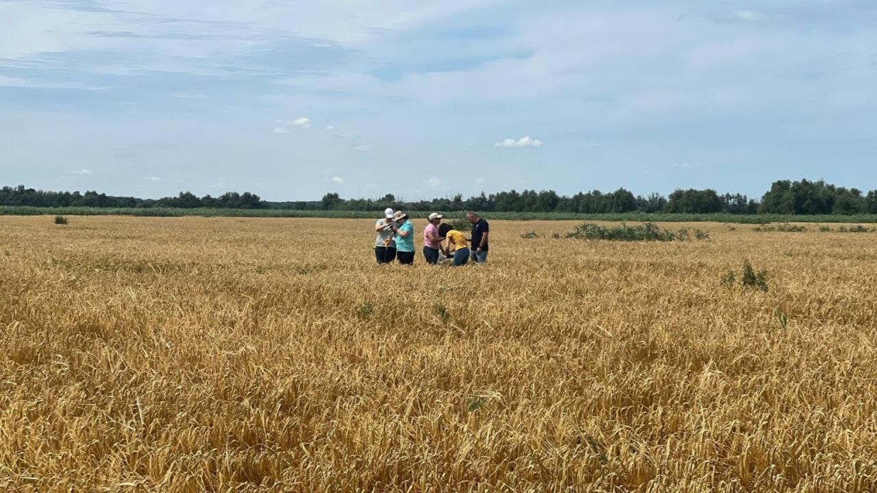 Control pe terenuri agricole din județul Tulcea