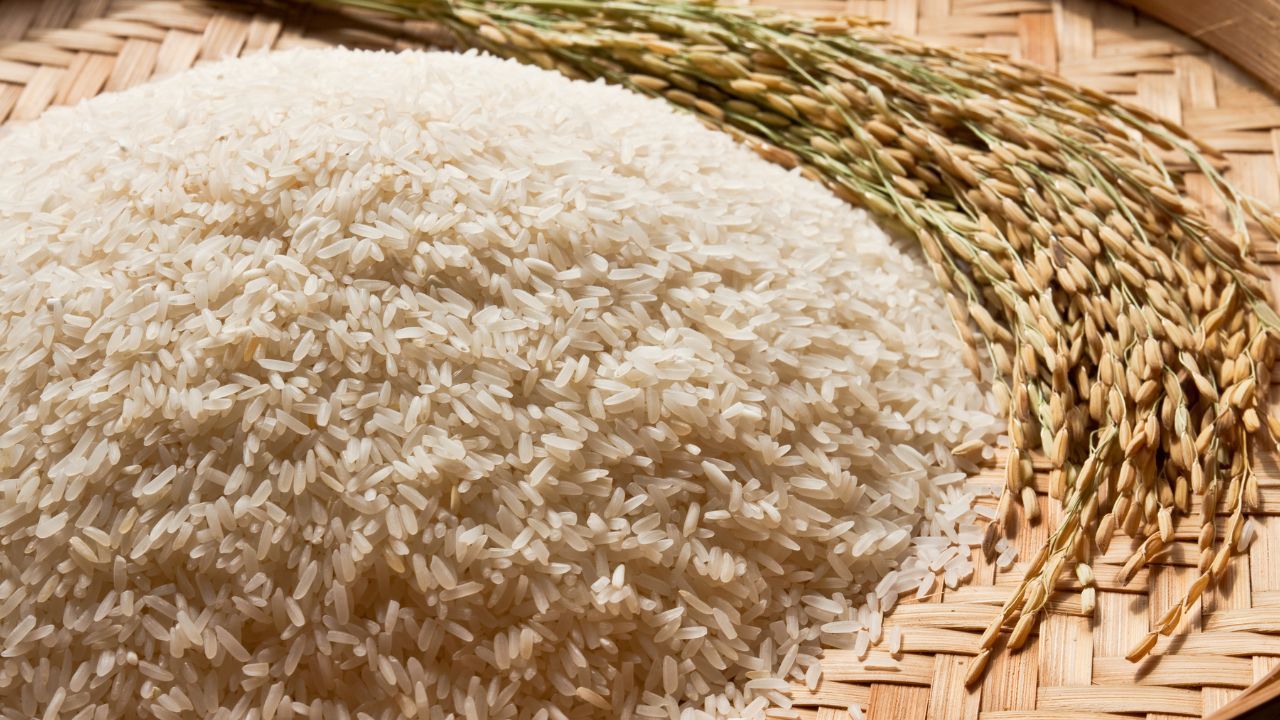 Țările din Mercusor dezacord pe cotele UE