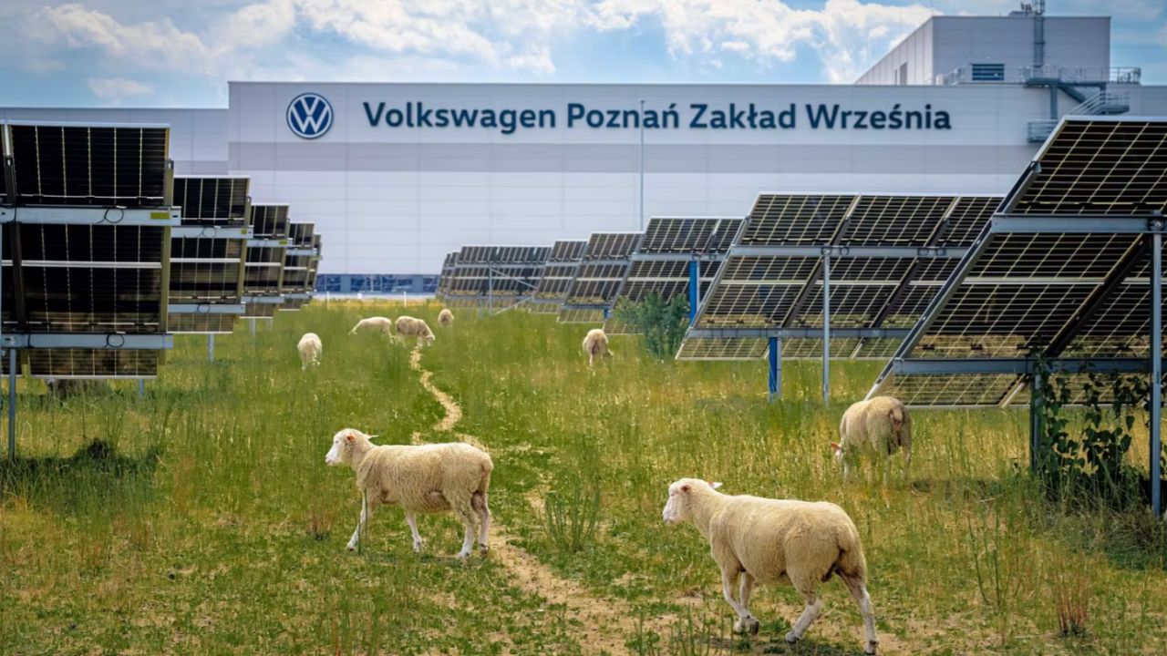 Oi la parcul fotovoltaic