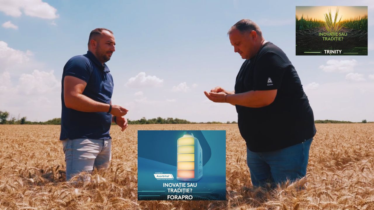 Maragro obține un grâu curat cu tehnologia ADAMA