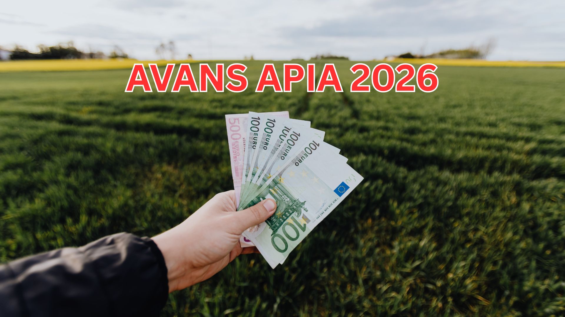 Avans APIA 2026