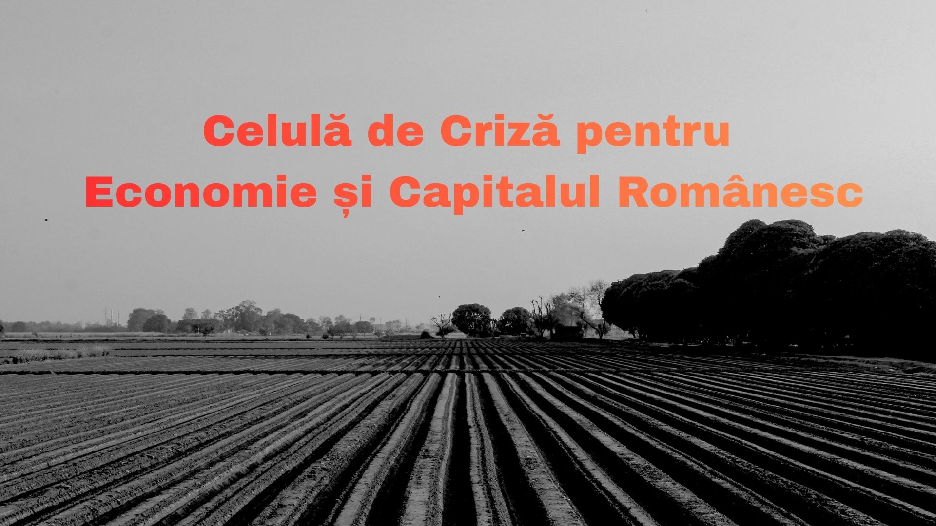Celulă de Criză pentru Economie și Capitalul Românesc