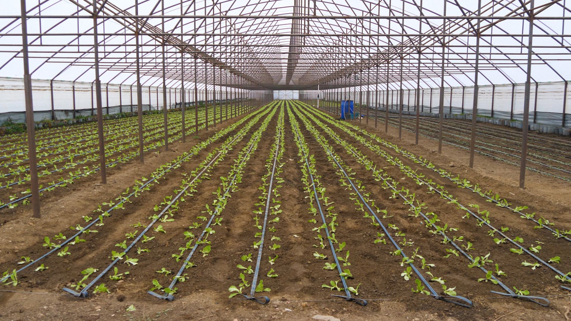 Solar al Cooperativei Grădina Noastră de la Vărăști