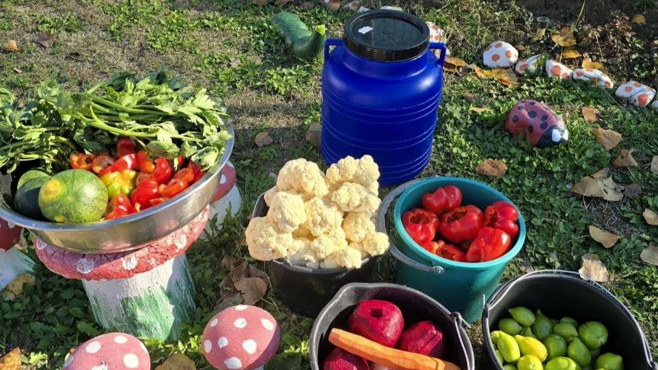 Legume pentru murături