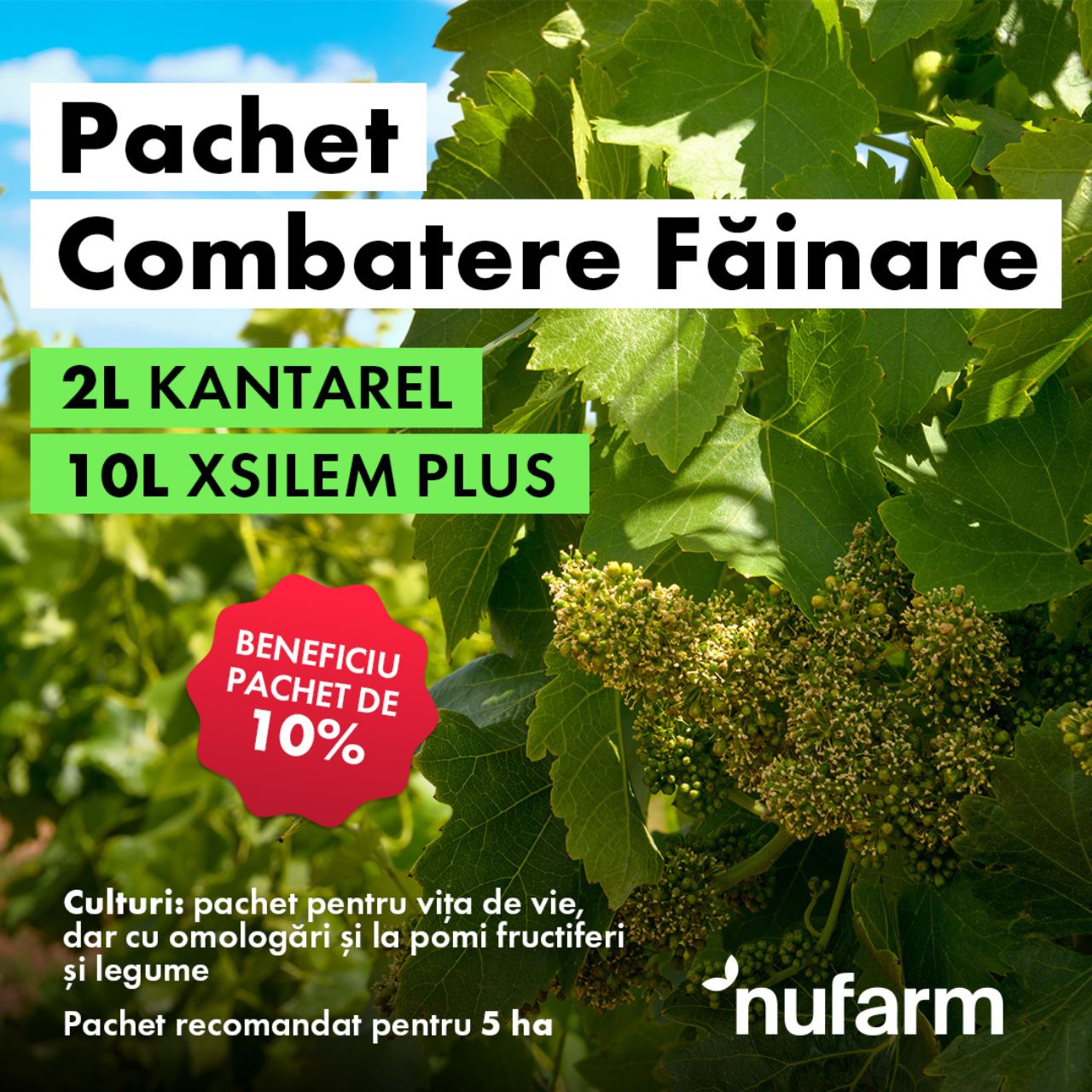 Kantarel și Xsilem Plus fac parte din Pachetul de Combatere a Făinării