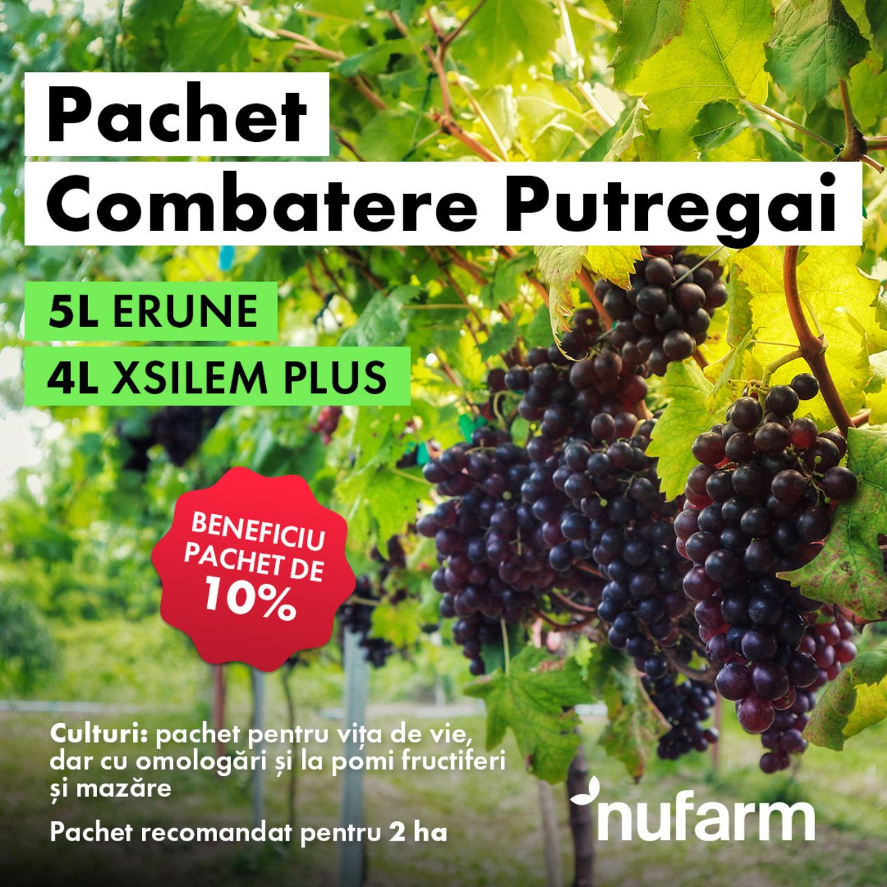 Erune și Xsilem Plus fac parte din Pachetul de Combatere a Putregaiului