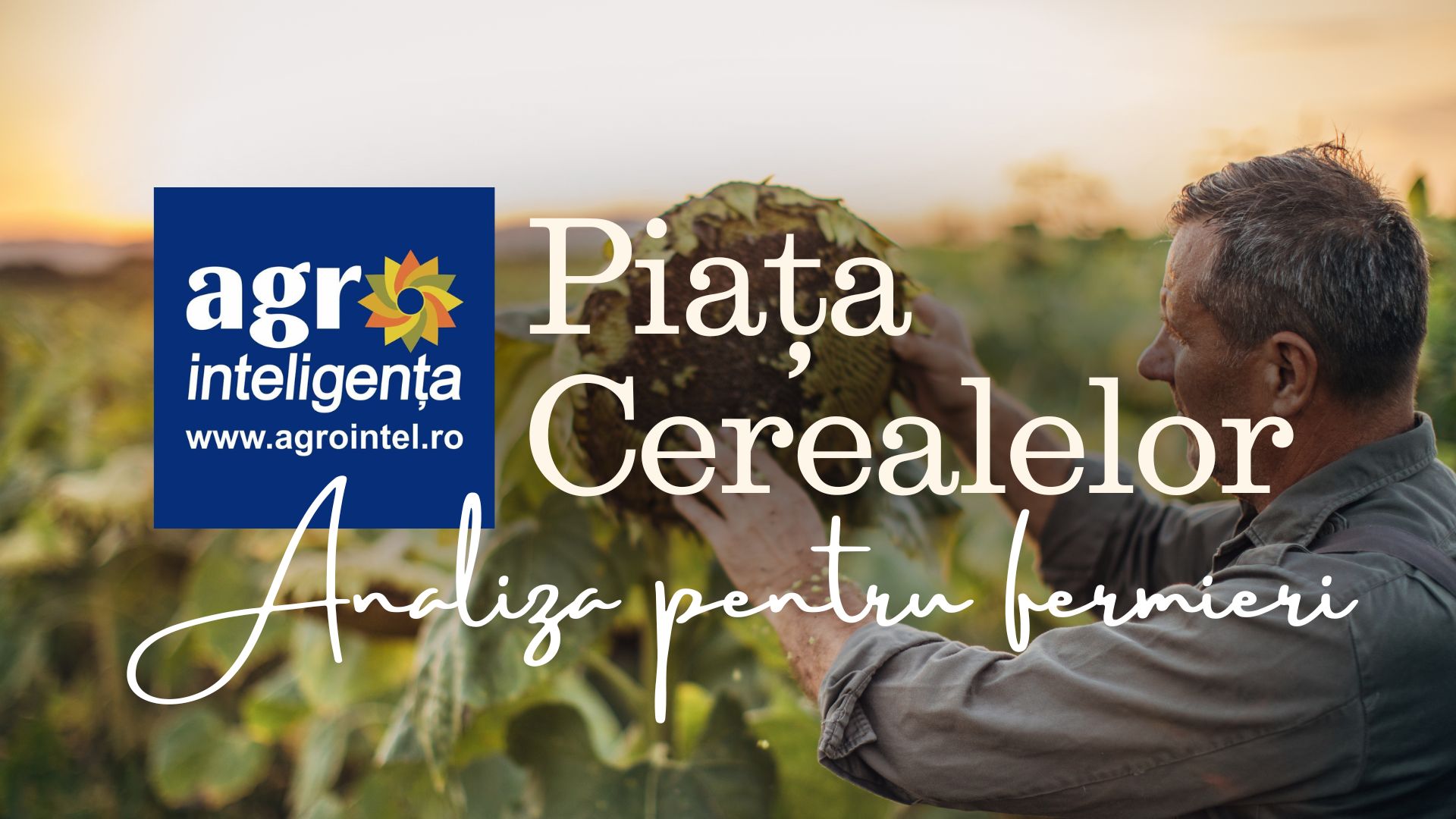 Piața cerealelor - miercuri, 5 august 2026