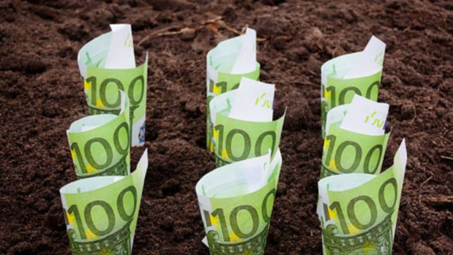 Prețul unui hectar de teren agricol din Germania