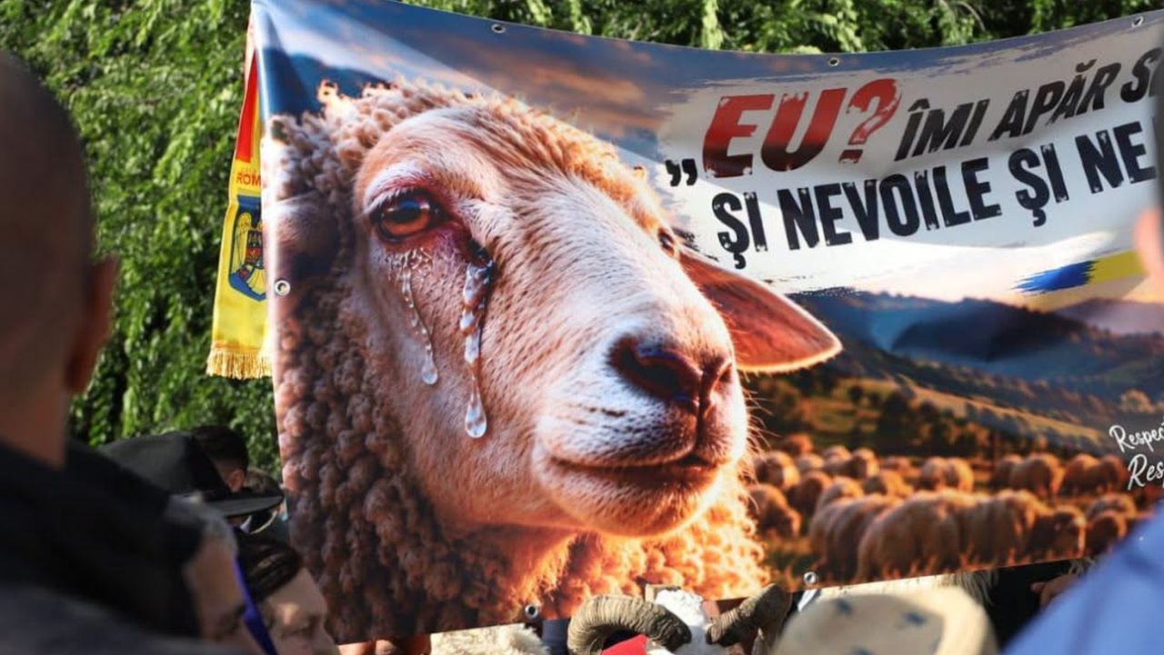 Banner la protestul oierilor