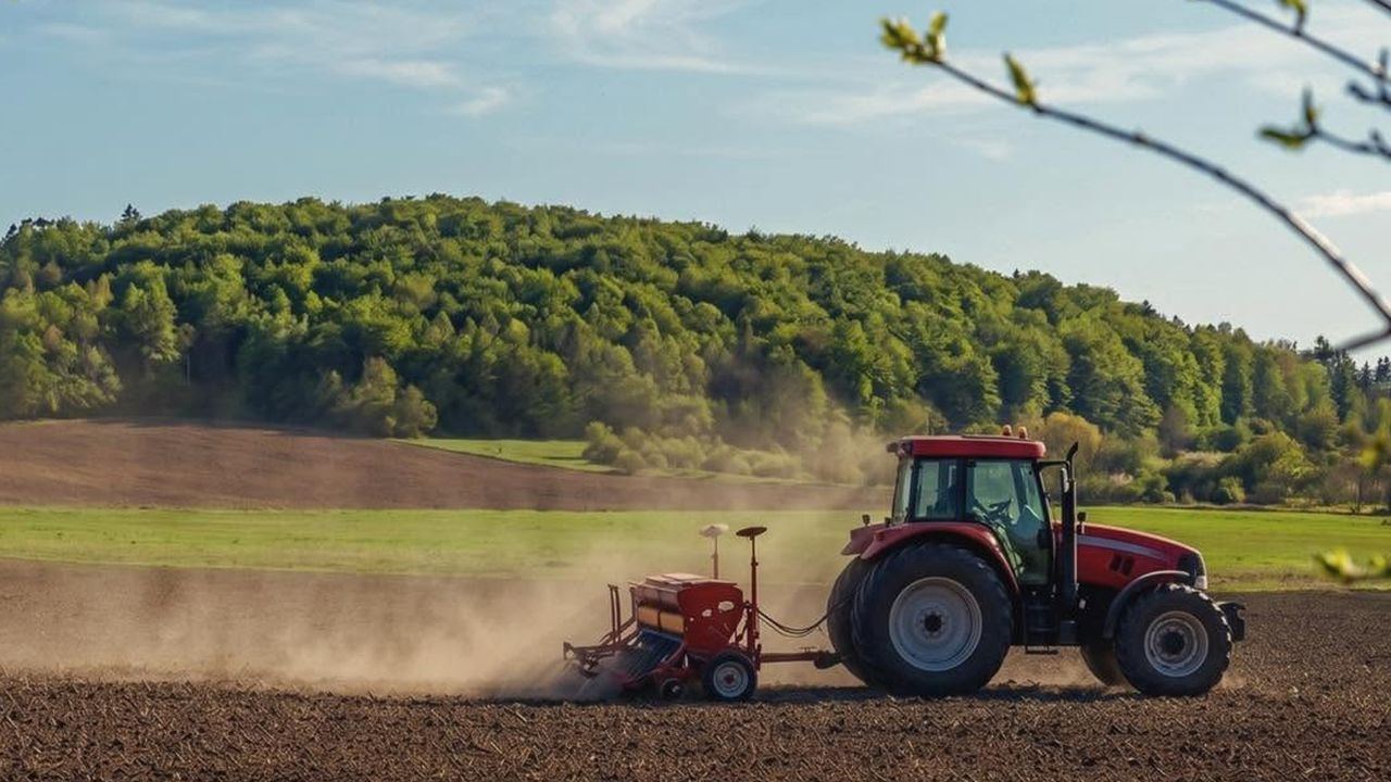 Agricover - cifre financiare