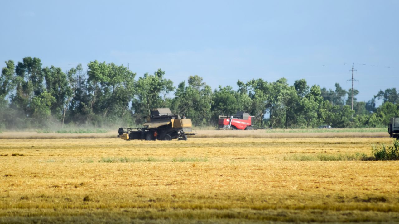 Rezultate pentru politica agricolă