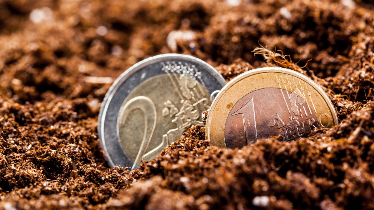 Euro pe un teren agricol