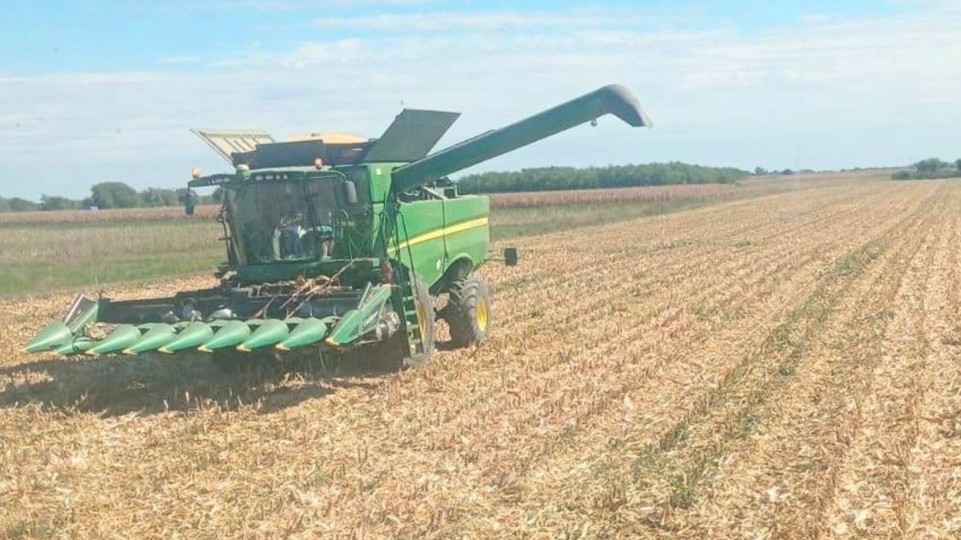 Combină la recoltat în ferma familiei Radu