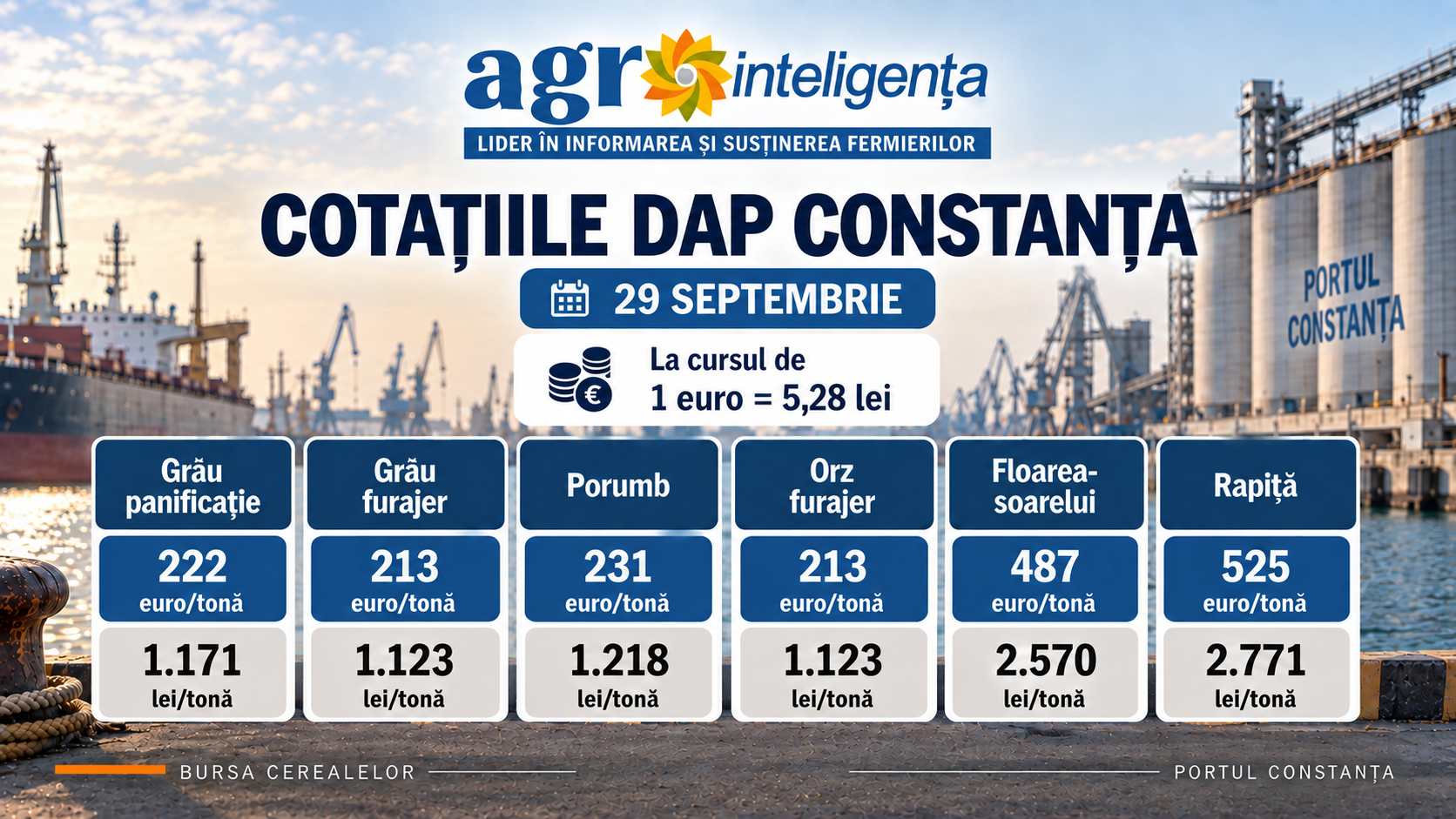 Cotații DAP Constanța - 29 septembrie 2026