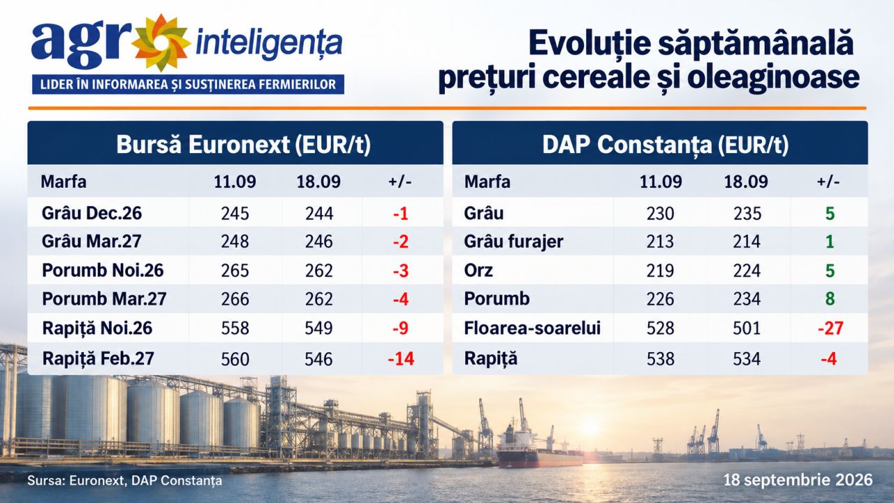Evoluție a prețurilor la cereale 11-18 septembrie 2026