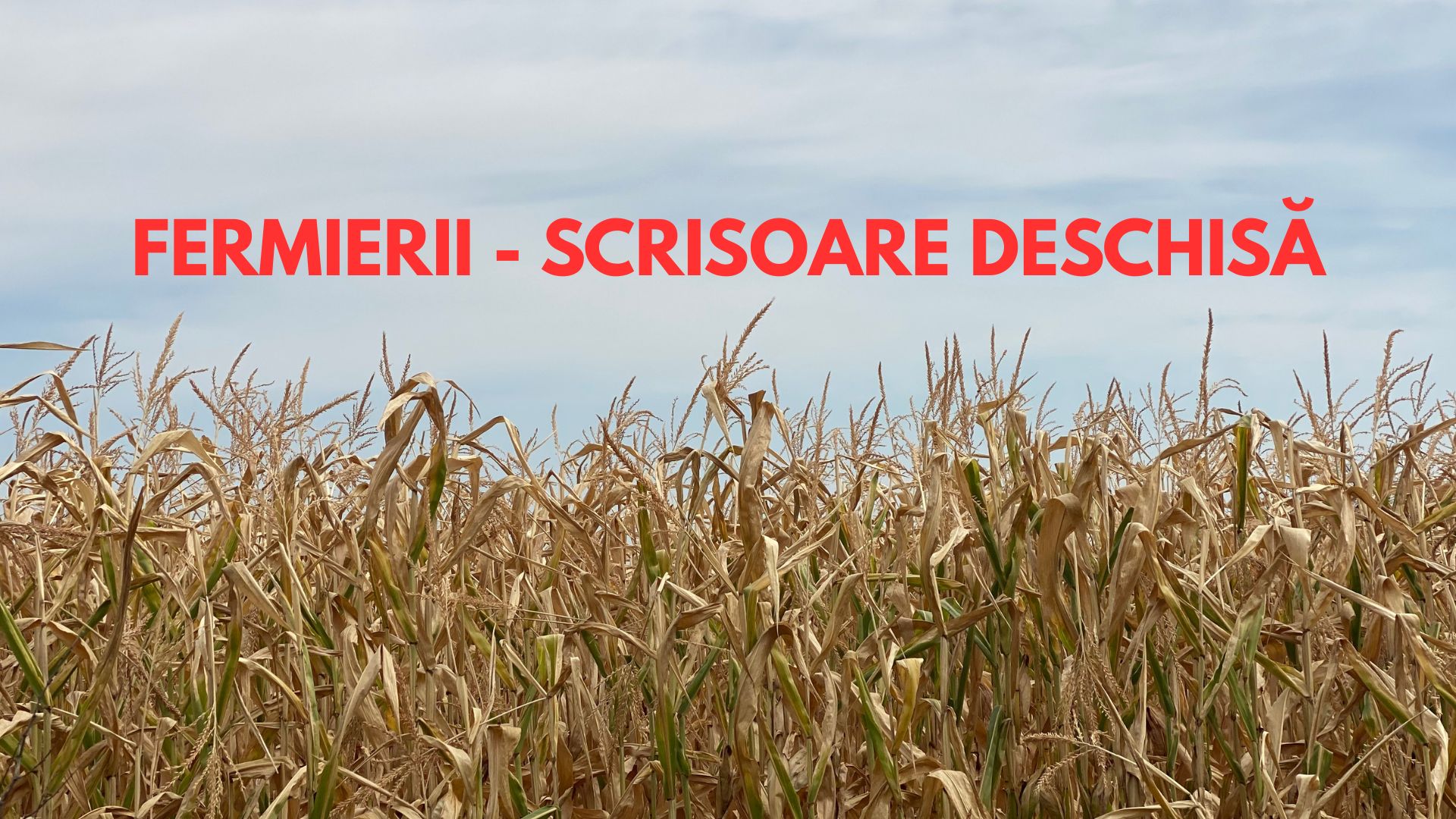 Fermierii - scrisoare deschisă despre despăgubirile de secetă