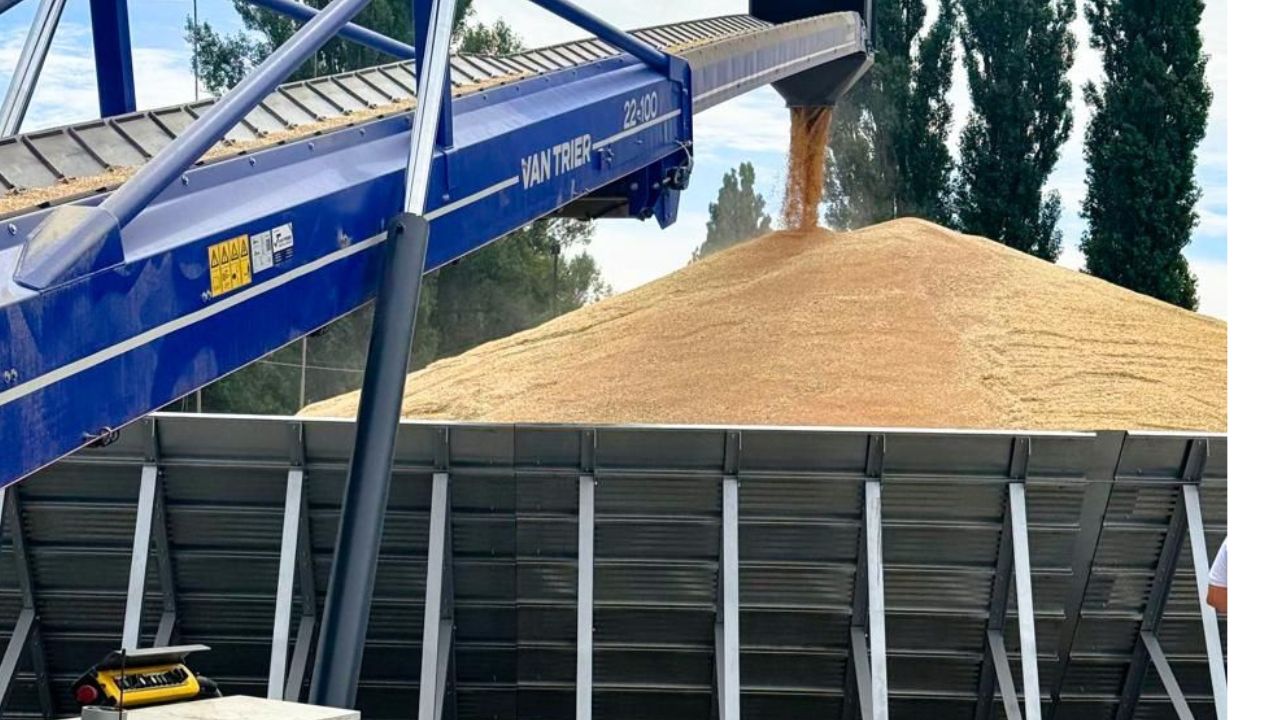 Depozitarea cerealelor în hambar