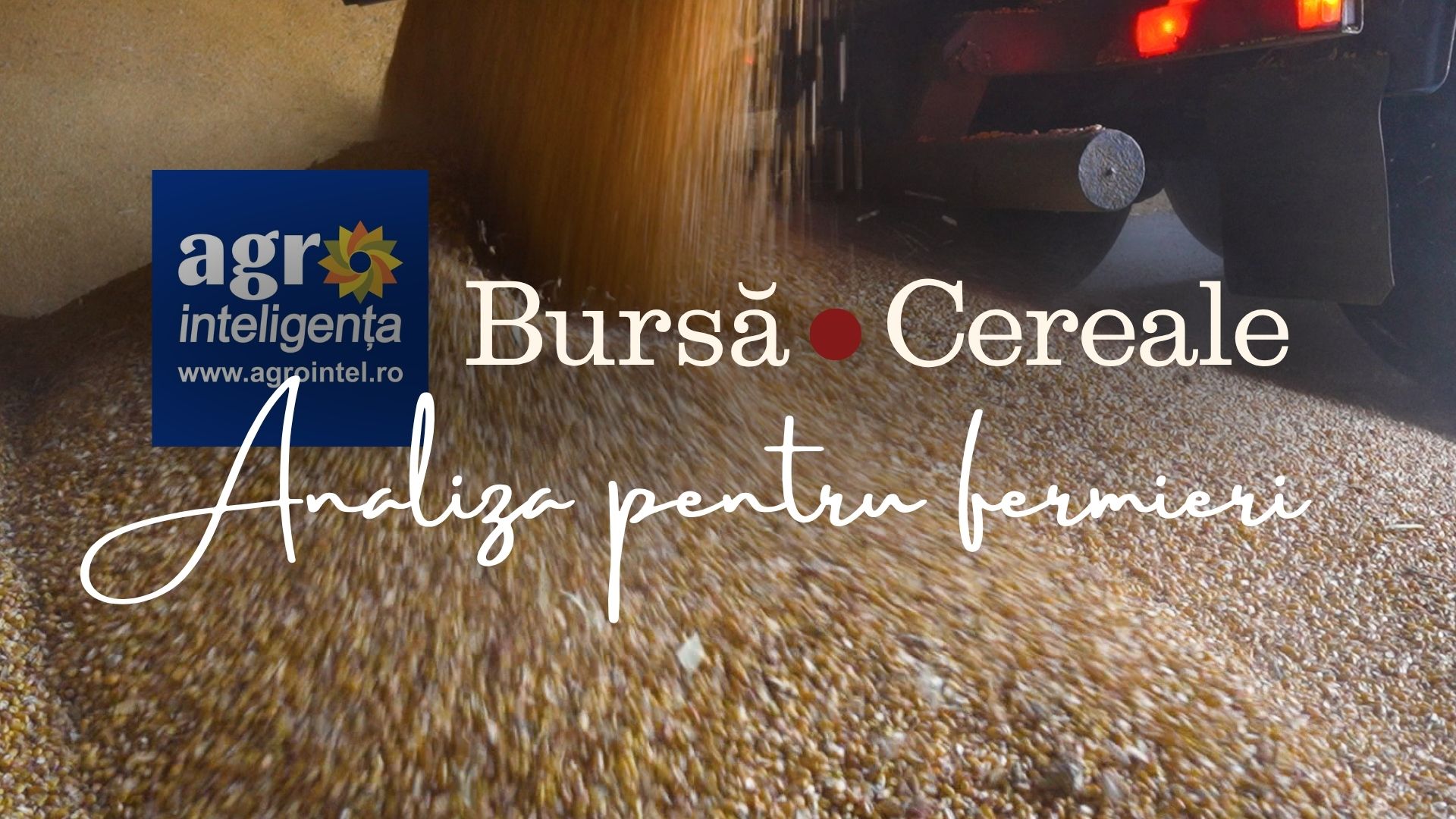 Piața de cereale, azi - 14 septembrie 2025