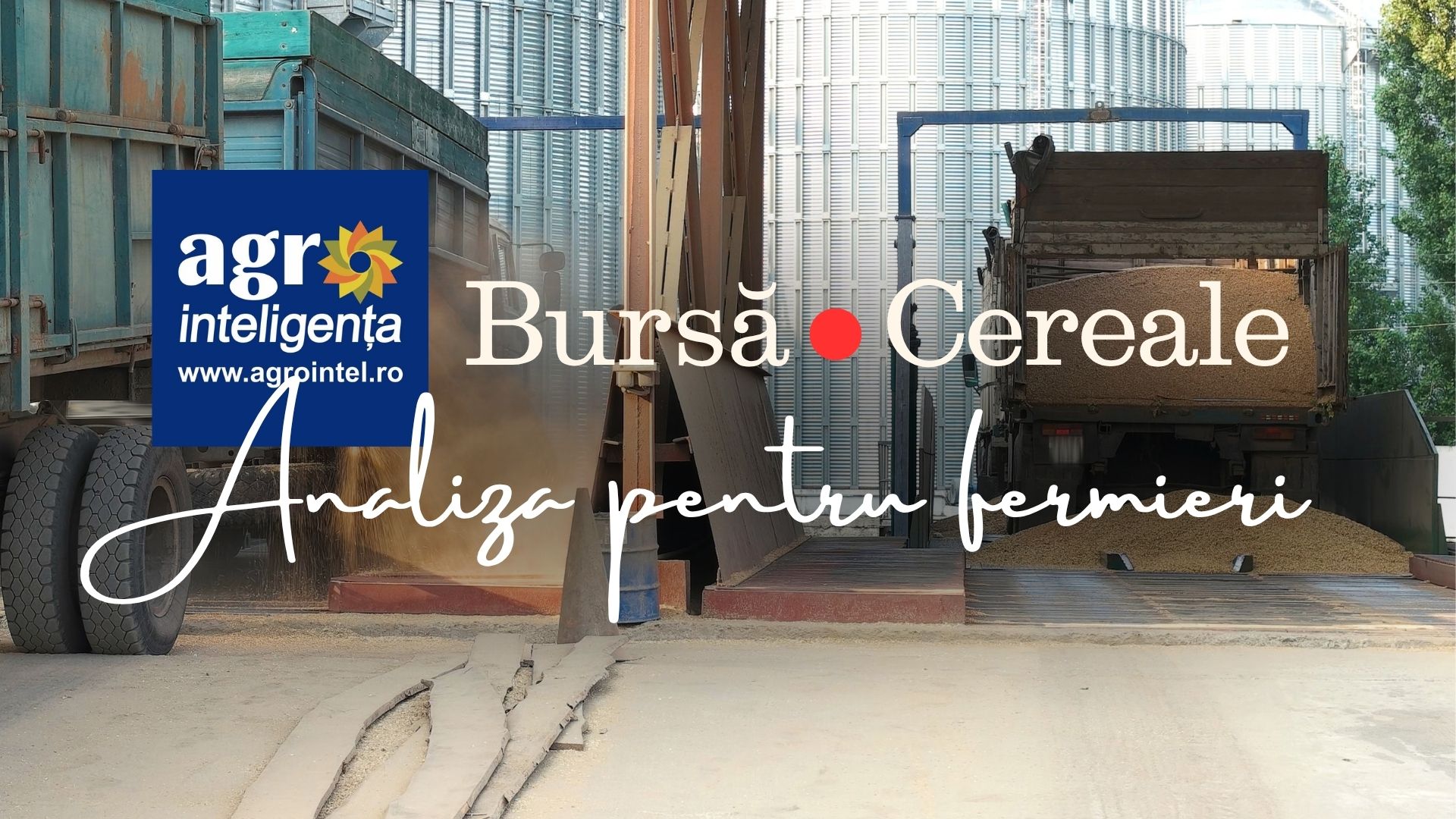Piața de cereale miercuri, 23 septembrie 2026