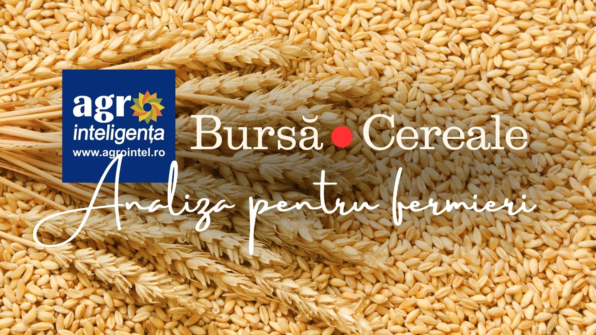 Piața de Cereale, la zi. Analiză 21 septembrie