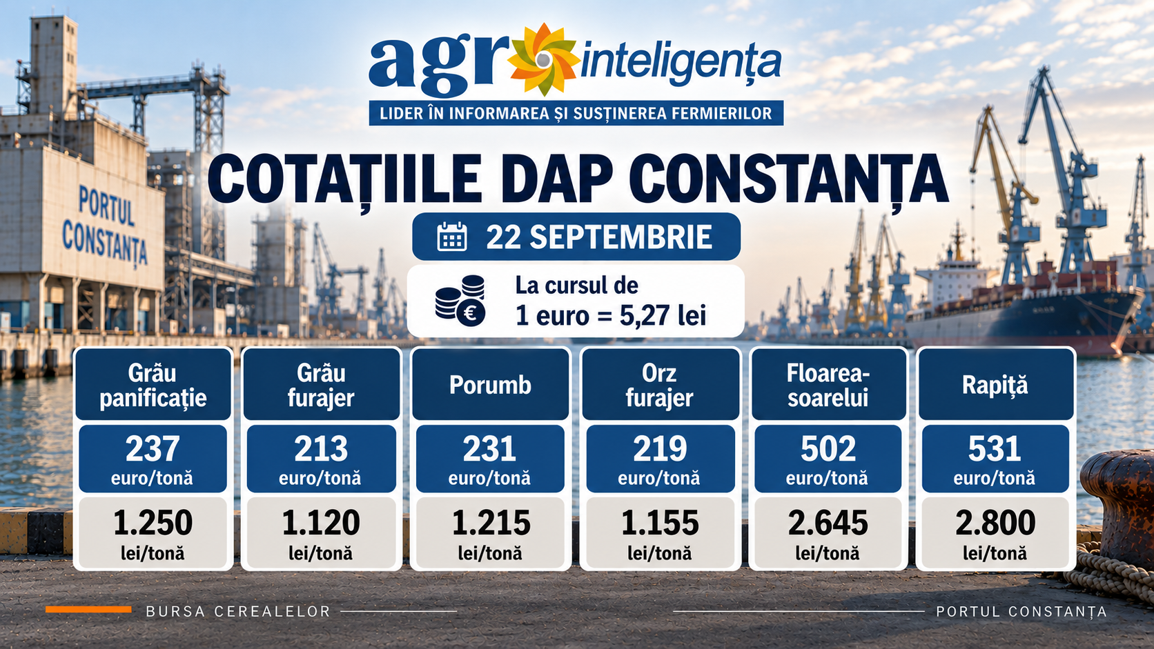 Piața cerealelor - marți, 22 septembrie 2026