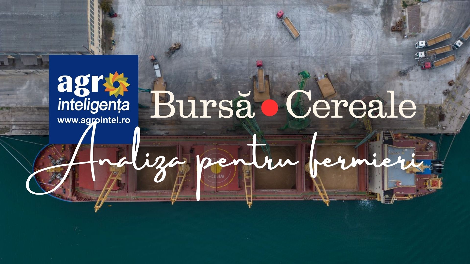 Piața de cereale, la zi. Cotații și tendințe