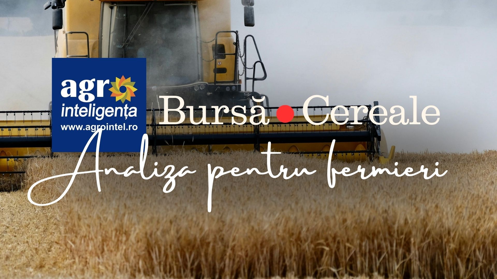 Piața de cereale - miercuri, 9 septembrie