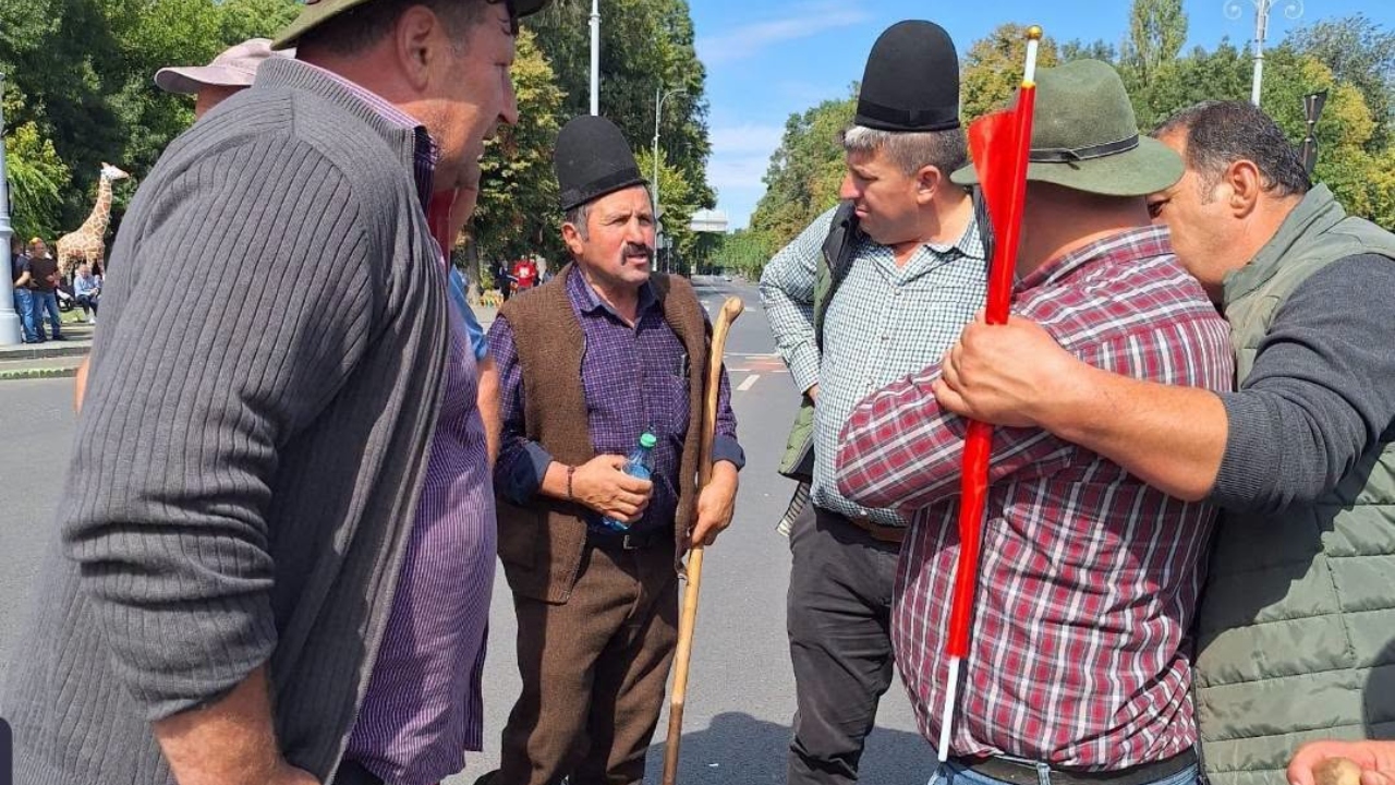 Protestul ciobanilor s-a încheiat