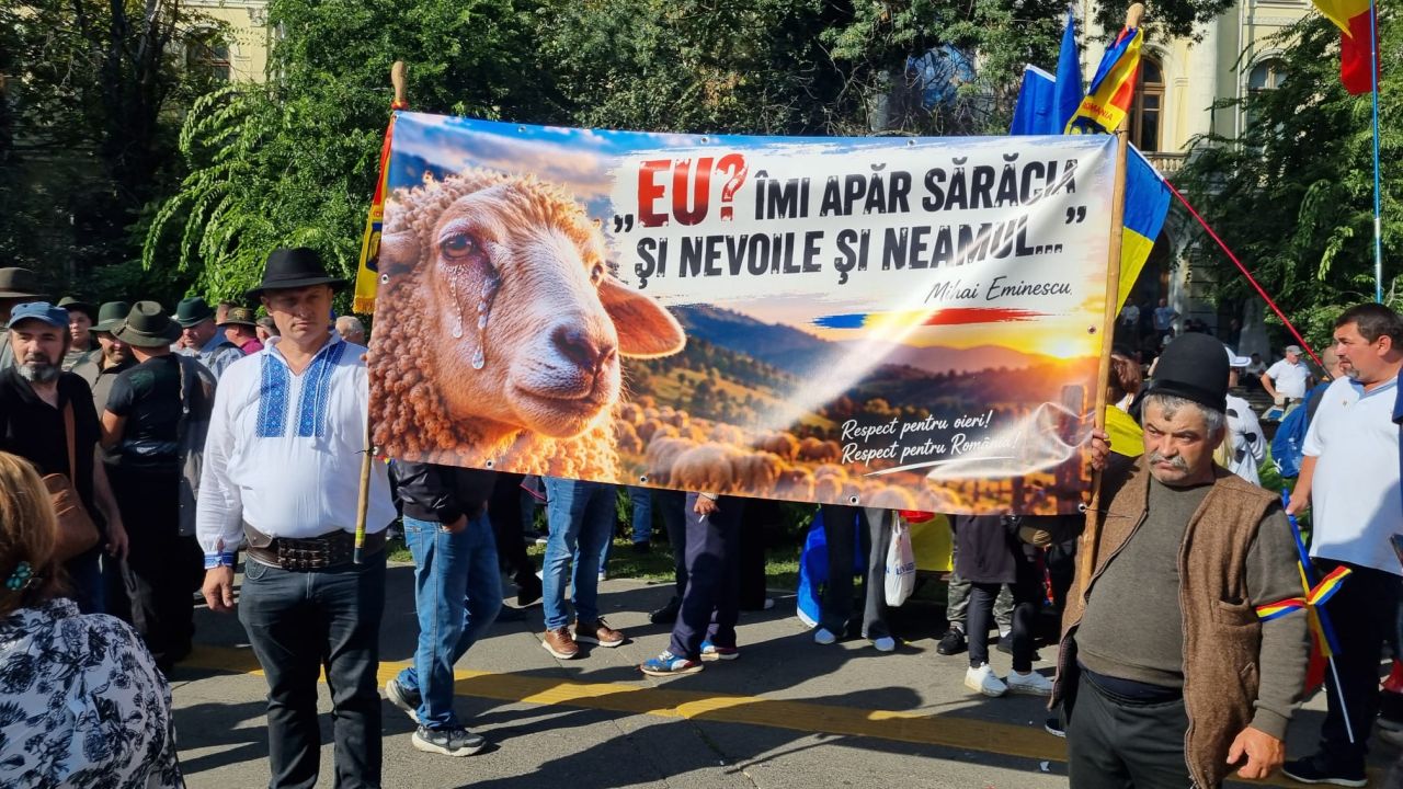 Protestul oierilor la Piața Victoriei