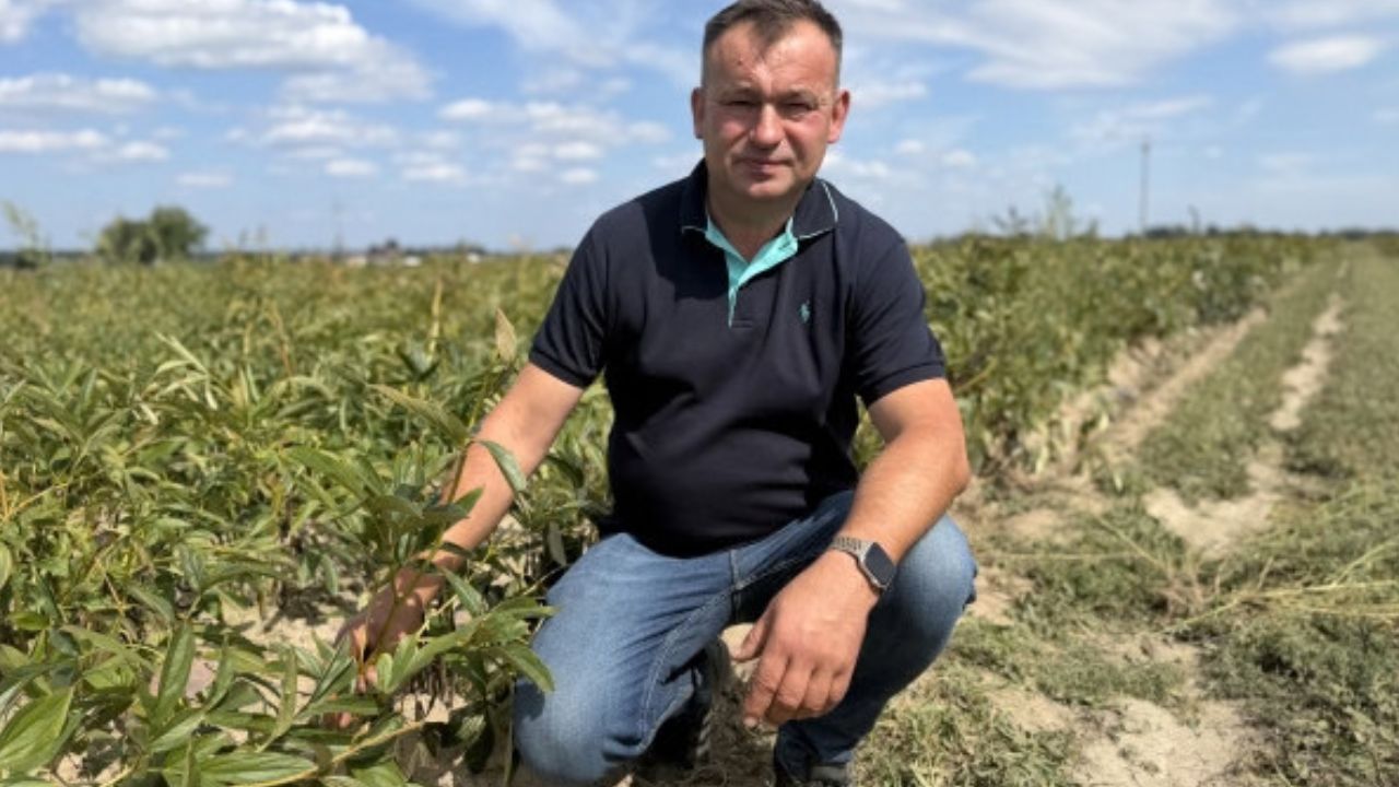 Robert Koszel - cultivator de bujori