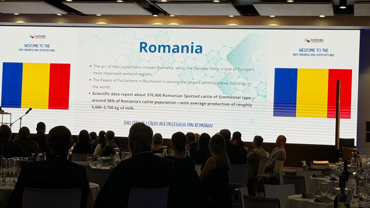 romania-congresul-mondial-simmental-2026